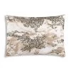 Cloud9d Amal - Ivory/Beige Pillow W/ Gold And Silver Print - 20" X 14"