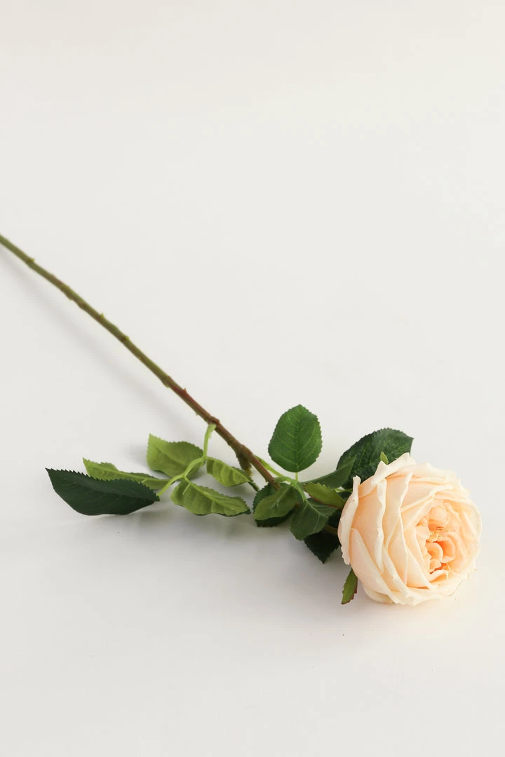 Inspire Me! Home Decor Real Touch Austin Rose (4 Colors) Floral Stems