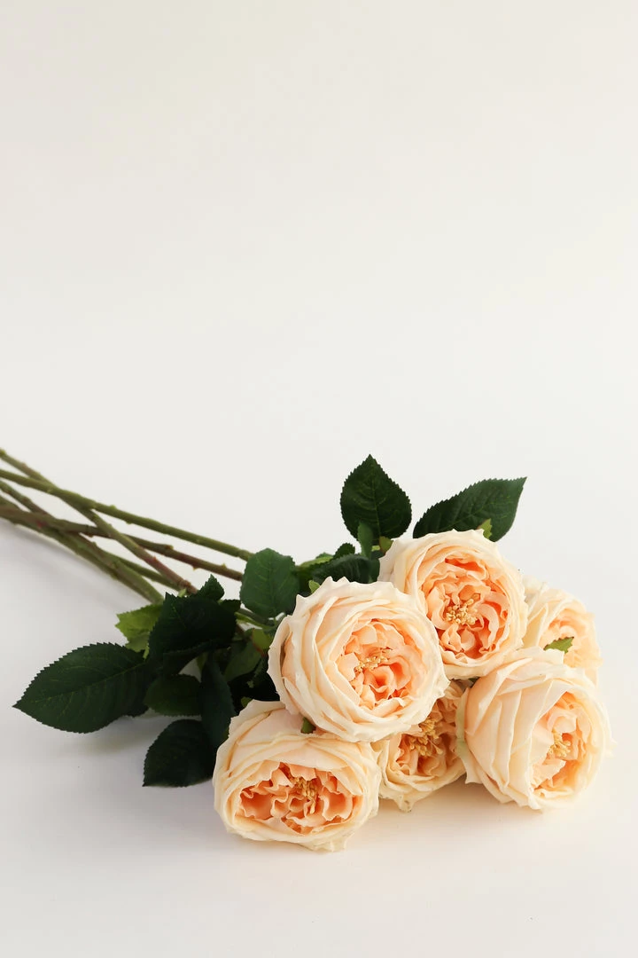 Inspire Me! Home Decor Real Touch Austin Rose (4 Colors) Floral Stems