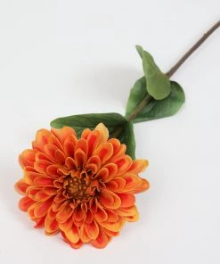 Inspire Me! Home Decor 24