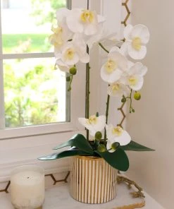 Inspire Me! Home Decor White Potted Faux Orchid In Gold And White Vase