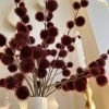 Inspire Me! Home Decor 33" Burgundy Craspedia Stem