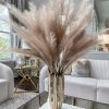 Inspire Me! Home Decor 47" Cream Feather Pampas Stem PRE-ORDER Floral Stems