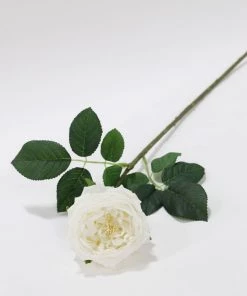 Inspire Me! Home Decor Real Touch Austin Rose (4 Colors) Floral Stems