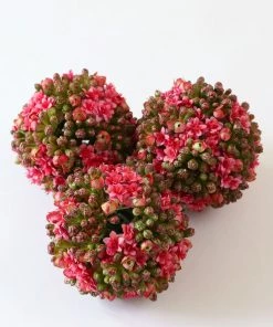 Inspire Me! Home Decor Floral Kalanchoe Orb (3 Colors)