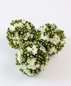 Inspire Me! Home Decor Floral Kalanchoe Orb (3 Colors)