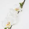 Inspire Me! Home Decor Real Touch Orchid Stem