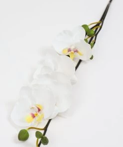 Inspire Me! Home Decor Real Touch Orchid Stem
