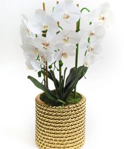 Inspire Me! Home Decor White Orchid In Gold Detailed Pot