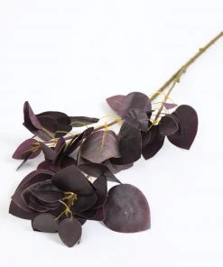 Inspire Me! Home Decor Dark Plum Flat Leaf Eucalyptus Stem