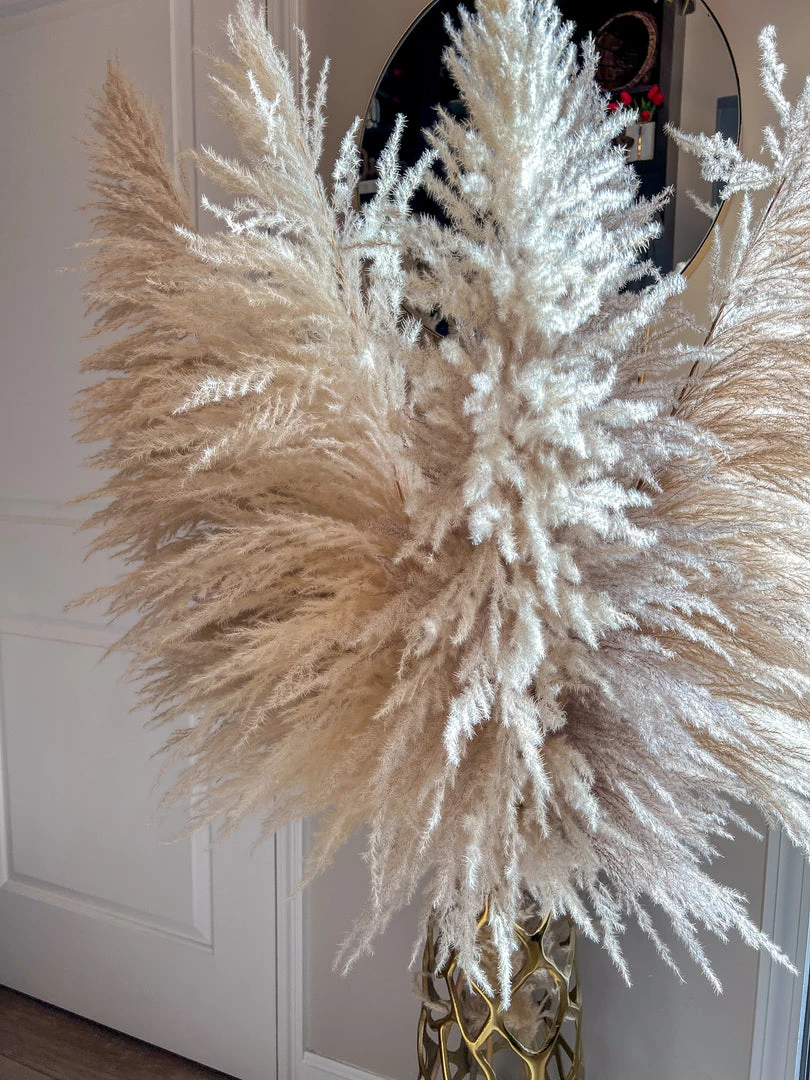 Inspire Me! Home Decor Natural Pampas Grass