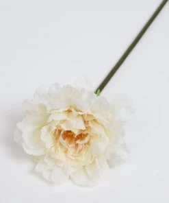 Inspire Me! Home Decor 19" Cream Peony Stem
