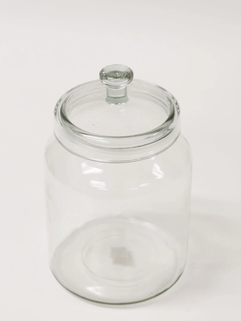 Inspire Me! Home Decor Oversized Glass Jars (3 Sizes)