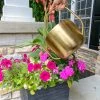 Inspire Me! Home Decor Gold Watering Can