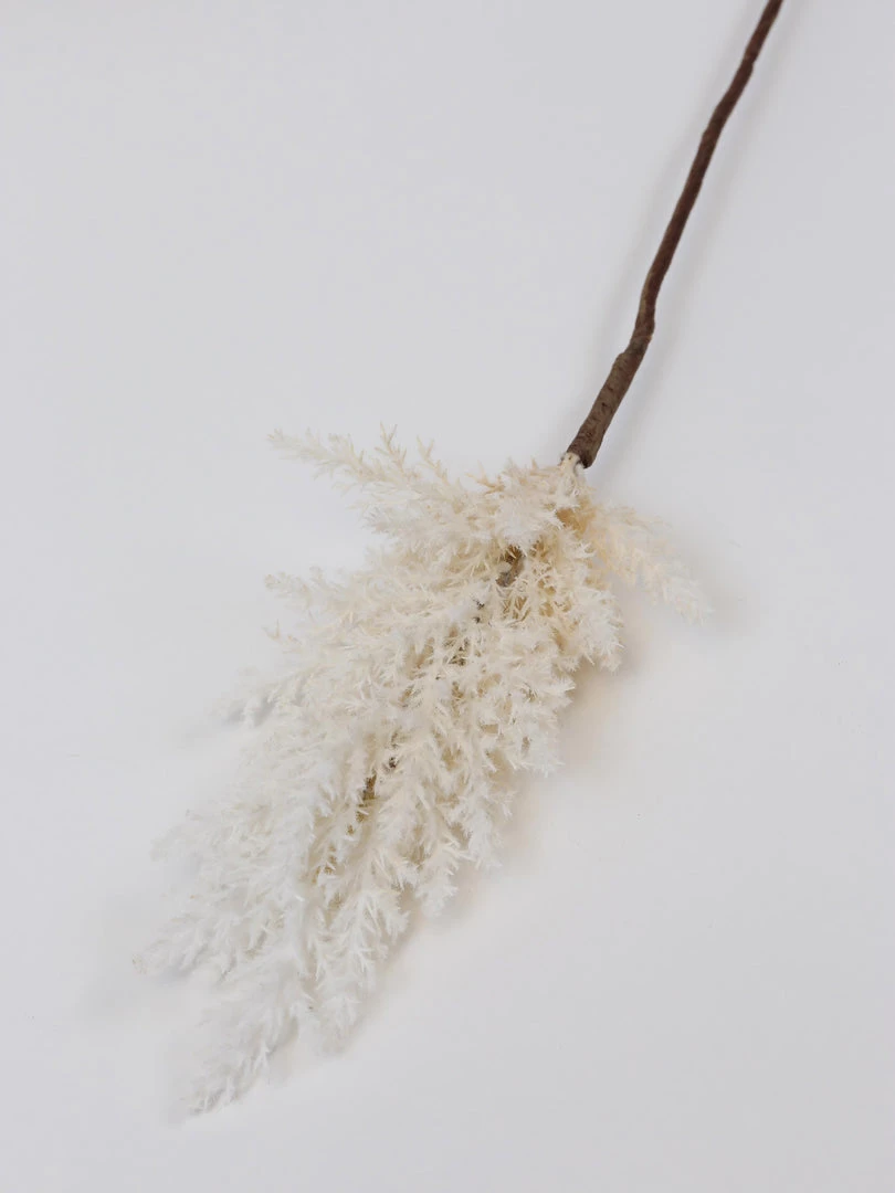 Inspire Me! Home Decor White Pampa Stem
