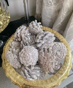 Inspire Me! Home Decor White Decorative Pinecones Box