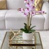 Inspire Me! Home Decor Set Of 2 Gold Mirrored Trays