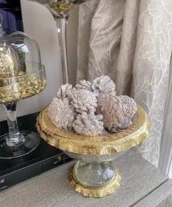 Inspire Me! Home Decor White Decorative Pinecones Box