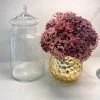 Inspire Me! Home Decor Clear Glass Apothecary Jar With Lid