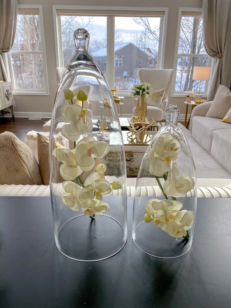 Inspire Me! Home Decor Glass Cloche (2 Sizes)