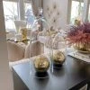Inspire Me! Home Decor Glass Cloche (2 Sizes)